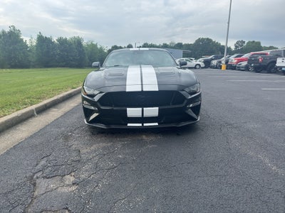 2019 Ford Mustang GT Premium