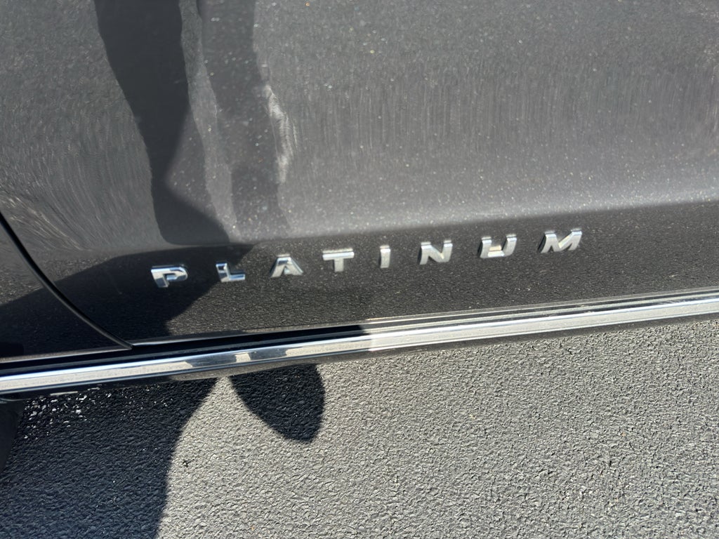 2020 Ford Expedition MAX Platinum